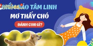 Mơ Thấy Chó Đánh Số Mấy? Mang Điềm Báo Gì?